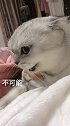 宁死不屈！