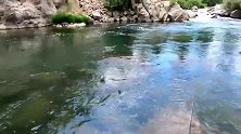 飞蝇钓技巧，钓溪流有点无敌