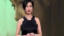 黄贯中节目中被说像妈妈，朱茵直呼“笑死我了”