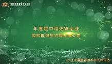 2021年度碳中和先锋企业国网能源研究院有限公司