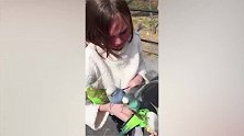 萌娃在动物园里看羊，想摸摸羊却又不敢，害怕羊会咬他！