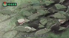极具讽刺意味短片，我们过的就如老鼠一般艰苦卓绝，一生可悲至极