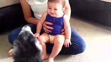 看看这些喜欢小孩子的狗狗们的表情，超萌