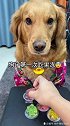 狗子吃到果冻的神反应！