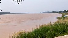 黄河泄洪涨水，半小时能涨20公分，钓鱼大爷：带鱼叉来，逮大鱼