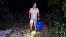 小强放几支夜钓竿，半夜过来查看喜中甲鱼，轻松赚几百块