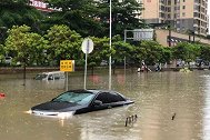 花3万买30万的泡水车值不值？听维修师傅说完，新手：原来如此