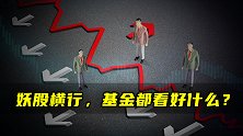 妖股横行，基金都看好什么？