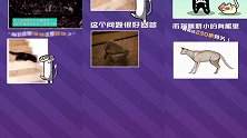 摩登大自然：你见过猫其他液态的姿势吗！