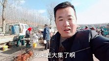 水煎包3毛钱一个排队买，胶南老板教秘诀加上它，色泽口感无敌了
