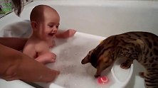 小宝宝洗泡泡浴，把小猫咪好奇坏了，跑来凑热闹，看把小萌娃乐的