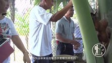 现代的人间伊甸园，最低廉的免签国，雌雄同体的禁果