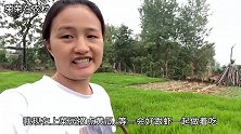 公爹今天没上班，媳妇做了10斤麻辣小龙虾，刚上桌满屋飘香