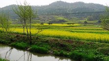 《中国推介》美丽中国：红色赤东 灵秀家园