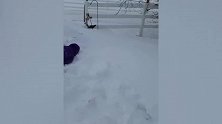 小女孩很大胆，尝试从雪堆滑下来，下一秒画风就突变！