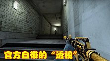 CSGO外挂令人心烦，玩家掌握两个技巧，立马拥有“透视”