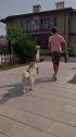 主人带二哈开心去海边烧烤，看开心乖巧的样子真可爱，萌萌哒