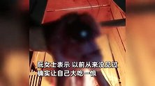 无眼无鼻猪！女子夜晚接生猪崽被吓坏：从没见过，太恐怖就处理掉了