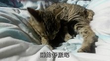虽然不能和你同吃一个月饼，但能和你同看一个月亮啊，节日快乐