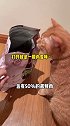 波比：我想把这玩意染成绿的！ 猫咪的迷惑行为  麦富迪鲜肉猫粮 家有傻猫