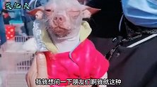 狗：牛兄差不多就得了，地主家也没多少余粮了