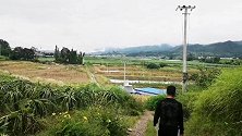 农村的生态养殖场，这样养出来的鸭子，你吃过吗？