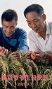 今天是阳历9月7日，祝袁爷爷生日快乐！袁隆平90岁生日