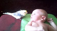 小鹦鹉给小宝宝唱歌，听着更像是在给小北鼻把尿
