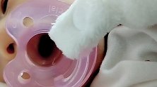 小宝宝才出生七天，没想到第一次使用安抚奶嘴，宝宝一学就会了！