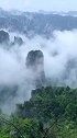 忘记烦恼，与世无争
