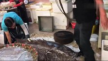 香港鱼摊摊主肢解230斤大鱼，没点力气还真是砍不动