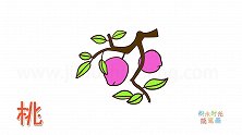 水果简笔画大全，画树上的桃子简笔画