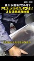 一觉睡到餐桌？山东研发活鱼无水运输，鱼无水能活72小时，网友：醒醒，该下锅了