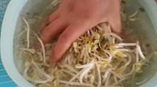 1块钱的豆芽，加一张干豆腐，简单一做，美味爽口超好吃，过瘾