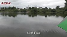 20米宽的大河野钓，鱼口超多，看看都钓了些什么鱼？