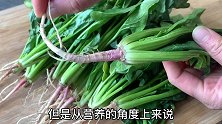 菠菜根和糯米一起煮作用大，解决了不少人的烦恼，既营养又省钱