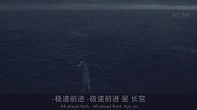 护卫舰大战U型潜艇（上）：下期更精彩！ 战争