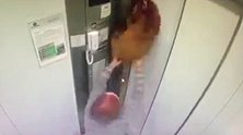 巴西：一只宠物狗牵引绳被电梯门夹住险窒息，主人扒开门相救