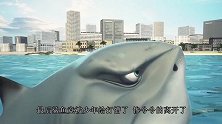 国外街头惊现巨大鲨鱼，行人却大胆靠近，得知真相让人哭笑不得