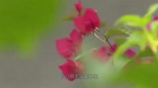 男友嗜好“特殊”，女友却不敢分手：他拿照片“威胁”我