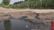 悠久的大水库莫名干枯，姑娘跑去捕鱼，结果轻而易举地捡了一大盆