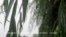 苦苦网恋6年 小伙一首歌终抱得美人归