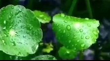中秋佳节全家相聚，不到四岁的小孙子拍摄的全家福是亮点