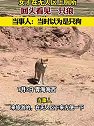 青海海西：女子在无人区上厕所，回头看见一只狼
