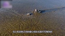 人与动物的超感人时刻 落泪瞬间 野生动物大救援