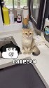 本以为小老三会怀疑猫生……没想当最后却……（自作孽）猫咪的迷惑行为 动物图鉴