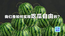 中国西瓜有多争气？国内年产达7万吨，一个省产值顶三个美洲！