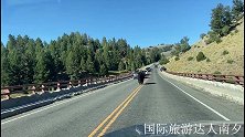 美国自驾游：在黄石国家公园的高架桥遇到野牛，请不要下车拍照