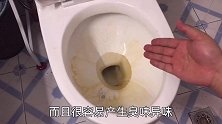 我家不用洁厕灵，马桶脏了倒一点，多脏的马桶一刷就干净