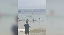 爱尔兰：海滩出现两只姥鲨，游客连连惊呼“天呐”